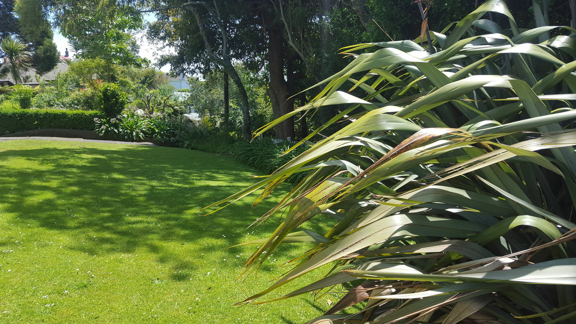 Timandra Motel New Plymouth Zewnętrze zdjęcie